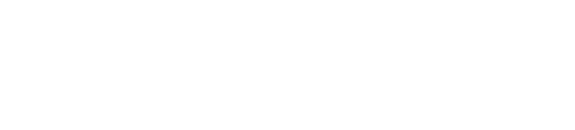 vision11